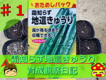 Thumbnail of post image 157